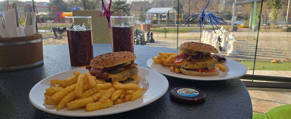 Hirschfeldburger mit Pommes