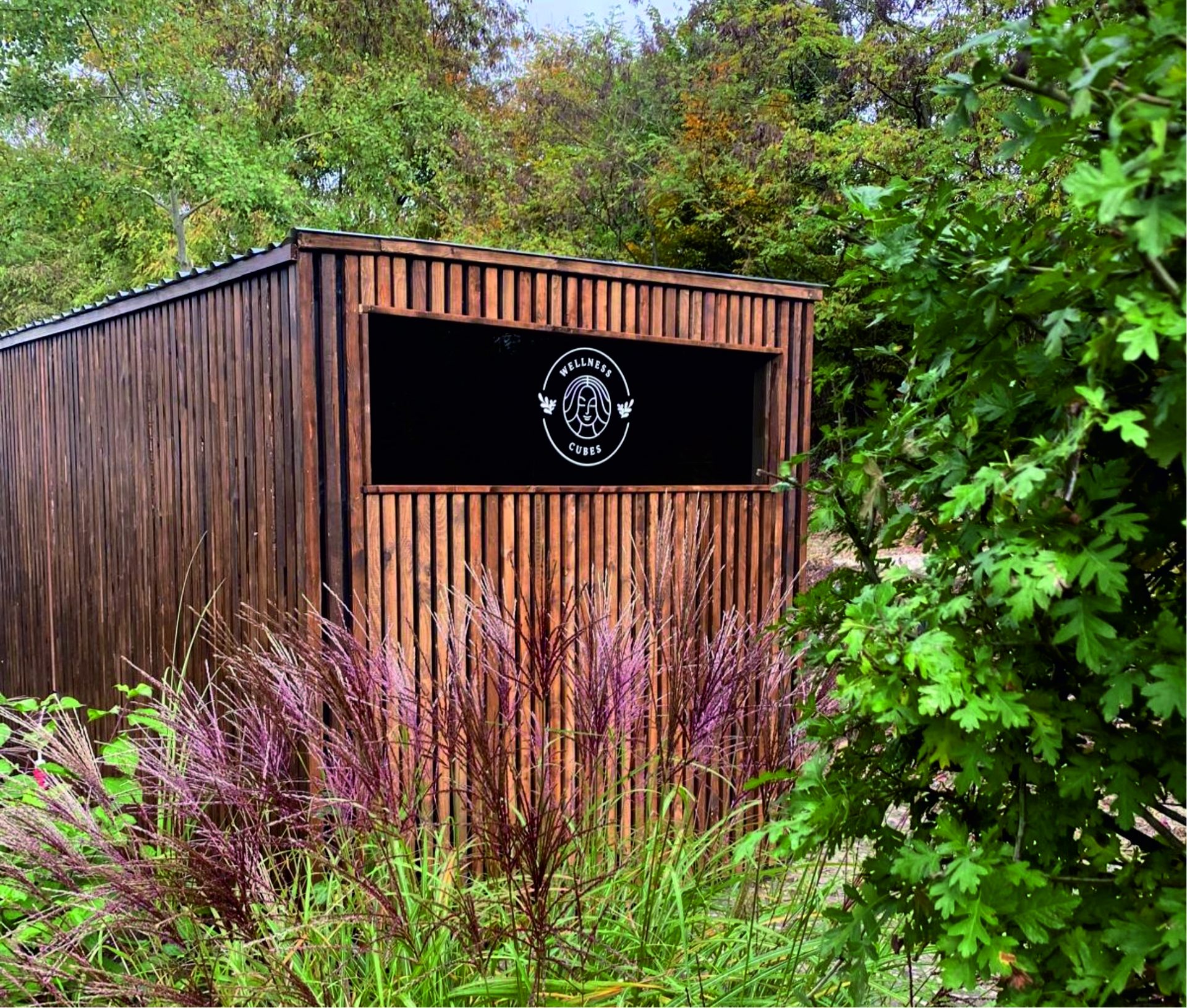 Sauna Cube aus dunklem Holz zwischen Ziergräsern