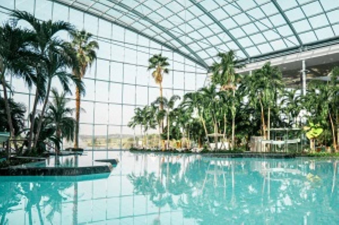 Palmenparadies der Thermen Sinsheim
